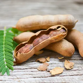 Heritage tamarind fruit pod from tropical Africa
